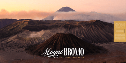 Trend Polaroid Font Poster 7