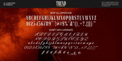 Trend Polaroid Font Poster 8