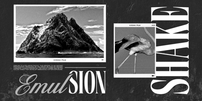 Trend Polaroid Font Poster 6