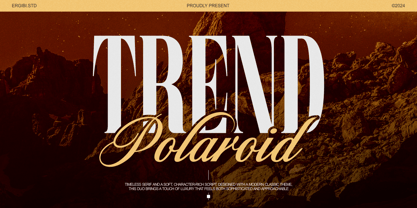 Trend Polaroid Font Poster 1