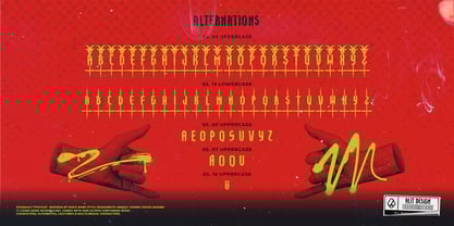 Roomach Font Poster 14