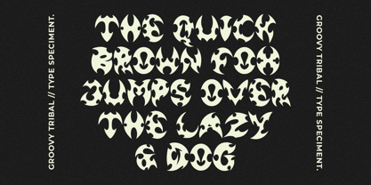 Groovy Tribal Font Poster 2