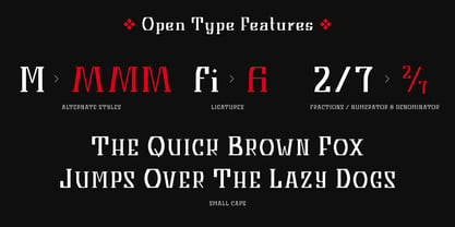 Meliora Slab Font Poster 4