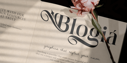 Shanolia Font Poster 4