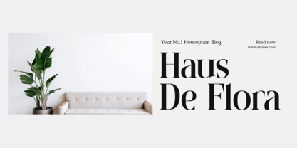 Shanolia Font Poster 2