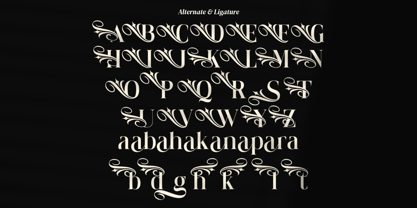 Shanolia Font Poster 9