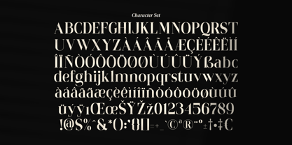 Shanolia Font Poster 8