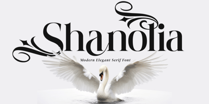 Shanolia Font Poster 1