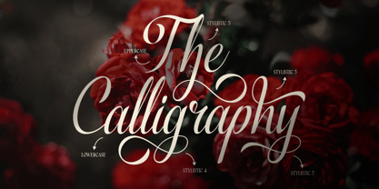 Varenda Font Poster 5