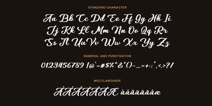 Vantasy Script Font Poster 6