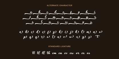 Vantasy Script Font Poster 7