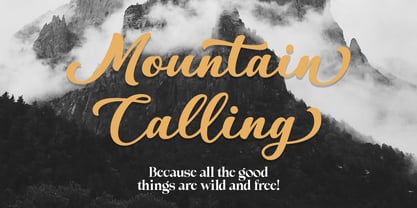 Vantasy Script Font Poster 5