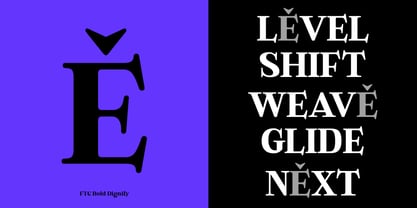 Bold Dignify Font Poster 3