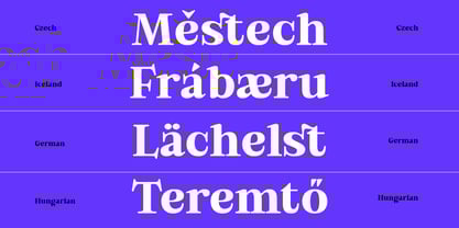 Bold Dignify Font Poster 12