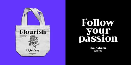 Bold Dignify Font Poster 9