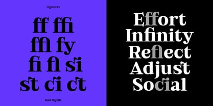 Bold Dignify Font Poster 8