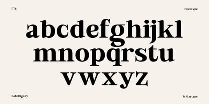 Bold Dignify Font Poster 7