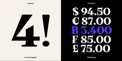 Bold Dignify Font Poster 10