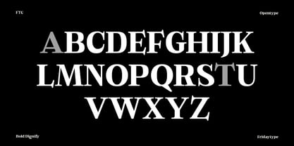 Bold Dignify Font Poster 6