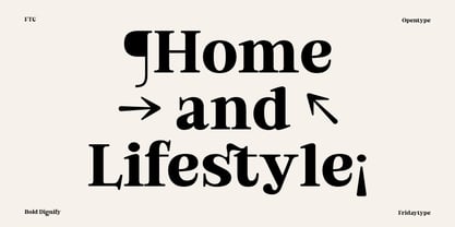 Bold Dignify Font Poster 4