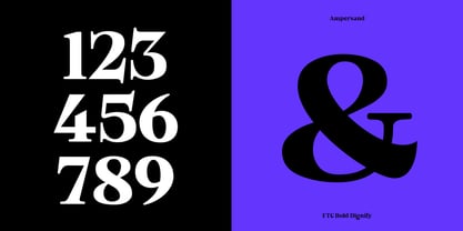 Bold Dignify Font Poster 5