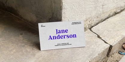 Bold Dignify Font Poster 11