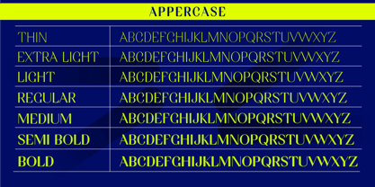 Agenia Font Poster 8