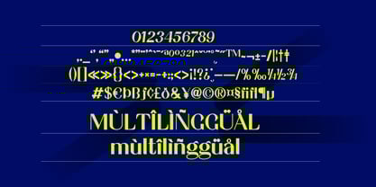 Agenia Font Poster 10