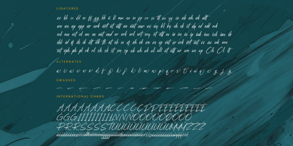 Strength Brust Font Poster 15