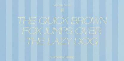 BD Velish Sans Font Poster 3