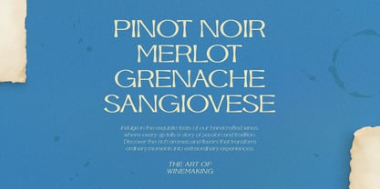 BD Velish Sans Font Poster 9