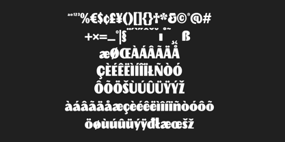 Night Shift Font Poster 4