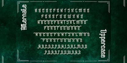 Raveinus Clawny Font Poster 7