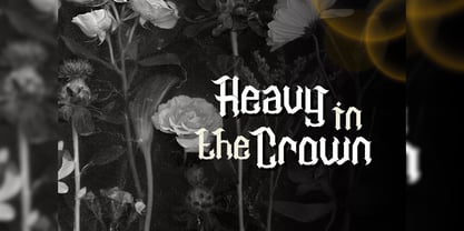 Raveinus Clawny Font Poster 14