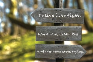 Country Font Handwritten font Font Poster 5