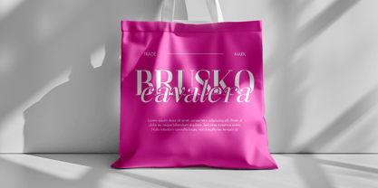 Gathena Serif Font Poster 9