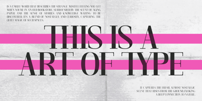 Gathena Serif Font Poster 7