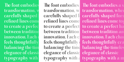 Gathena Serif Font Poster 10