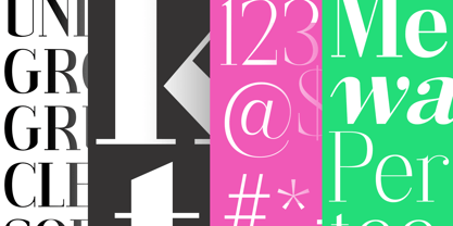 Gathena Serif Font Poster 6