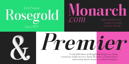 Gathena Serif Font Poster 5