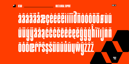 Bekar Font Poster 13