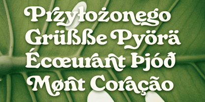 Monstera Deliciosa Font Poster 13
