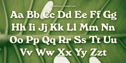 Monstera Deliciosa Font Poster 4