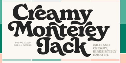 Monstera Deliciosa Font Poster 2