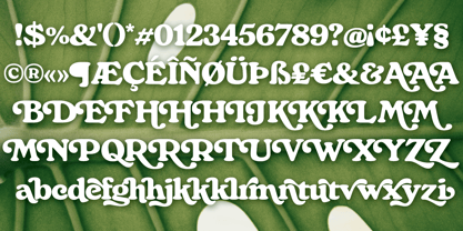 Monstera Deliciosa Font Poster 10