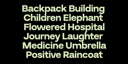 Buvera Font Poster 3