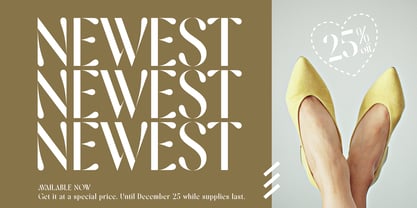 Nickova Font Poster 7