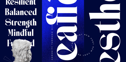 Seafibe Font Poster 7