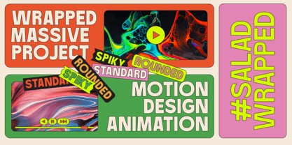 Baji Standard Font Poster 4