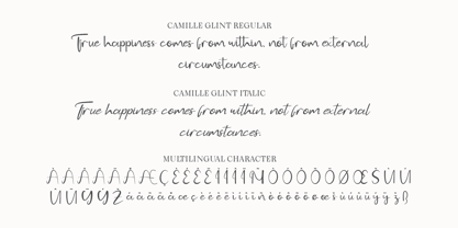 CF Camille Glint Font Poster 4